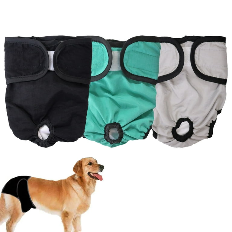 Dog 2025 incontinence nappies