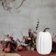 thumbnail image 1 of Uuiauoio Artificial Fake Pumpkins Foam Faux Pumpkin Halloween Thanksgiving Fall Autumn Theme Party Wedding Seasonal Holiday Decoration ,Christmas Decorations Props Shooting, 1 of 6