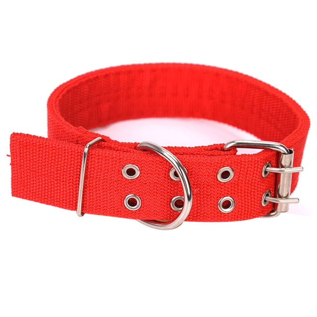 Collar de perro ajustable militar, anillo en D de 2 pulgadas de ancho y hebilla collar de perro de 2 líneas