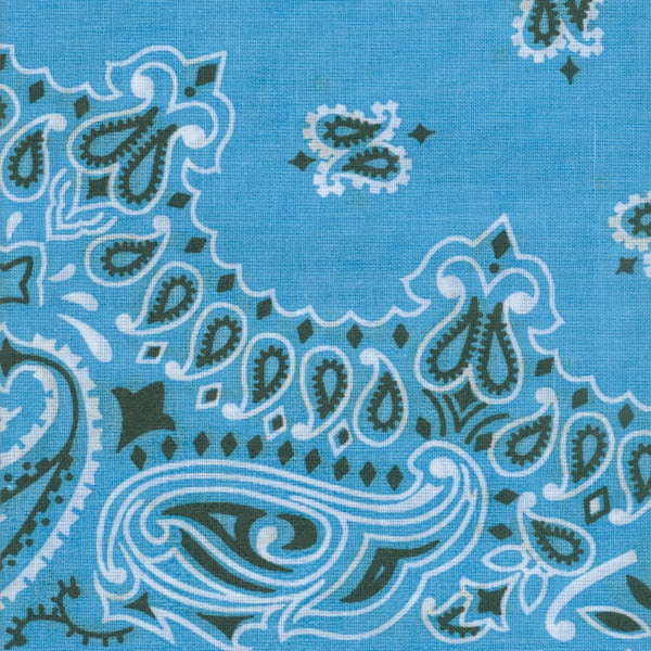 Hav A Hank Paisley Bandanna 22 X22 Light Blue Walmart Com