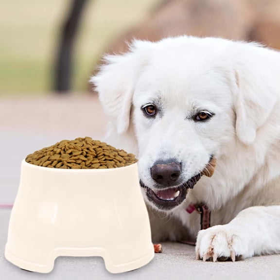 1PC Spaniel Bowls for Dogs Long Ears Long Eared Dog Bowl, No-Spill Food & Water Bowls for Cocker Spaniels, Beagles, & Long-Eared Breeds, Non- Design, Easy to Clean