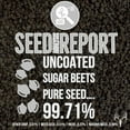 thumbnail image 2 of Crooked Bend Dwight’s Pure Sugar Beet Seed for Deer, 50 LB Bulk, Planting Seeds Grow Whitetail & Turkey Hunting Food Plot Attractants, Winter Root Crop & Cold Tolerant Forage Feed Wildlife, No Coat, 2 of 9