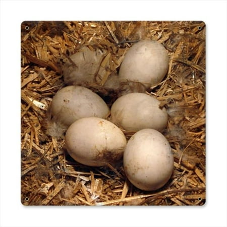 Past Time Signs AIF053 Eggs In Hay Home And Garden Metal