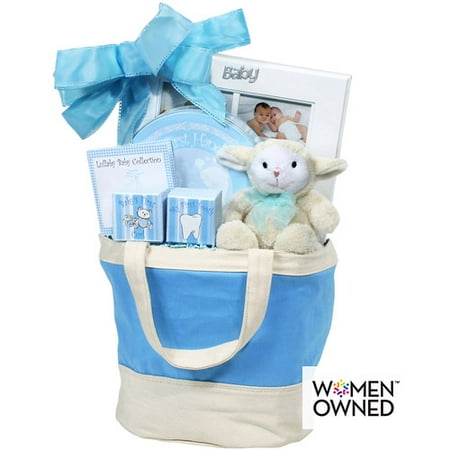 **seasonal Baby Keepsake Tote- Blue