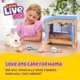 thumbnail image 3 of Toy Little Live Pets Mama Surprise Bunny con 3 bebés a partir de 4 años, 3 of 5