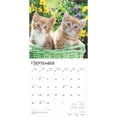 thumbnail image 4 of I Love Kittens 2025 12 X 24 Inch Monthly Square Wall Calendar Plastic-Free (Wall), 4 of 9
