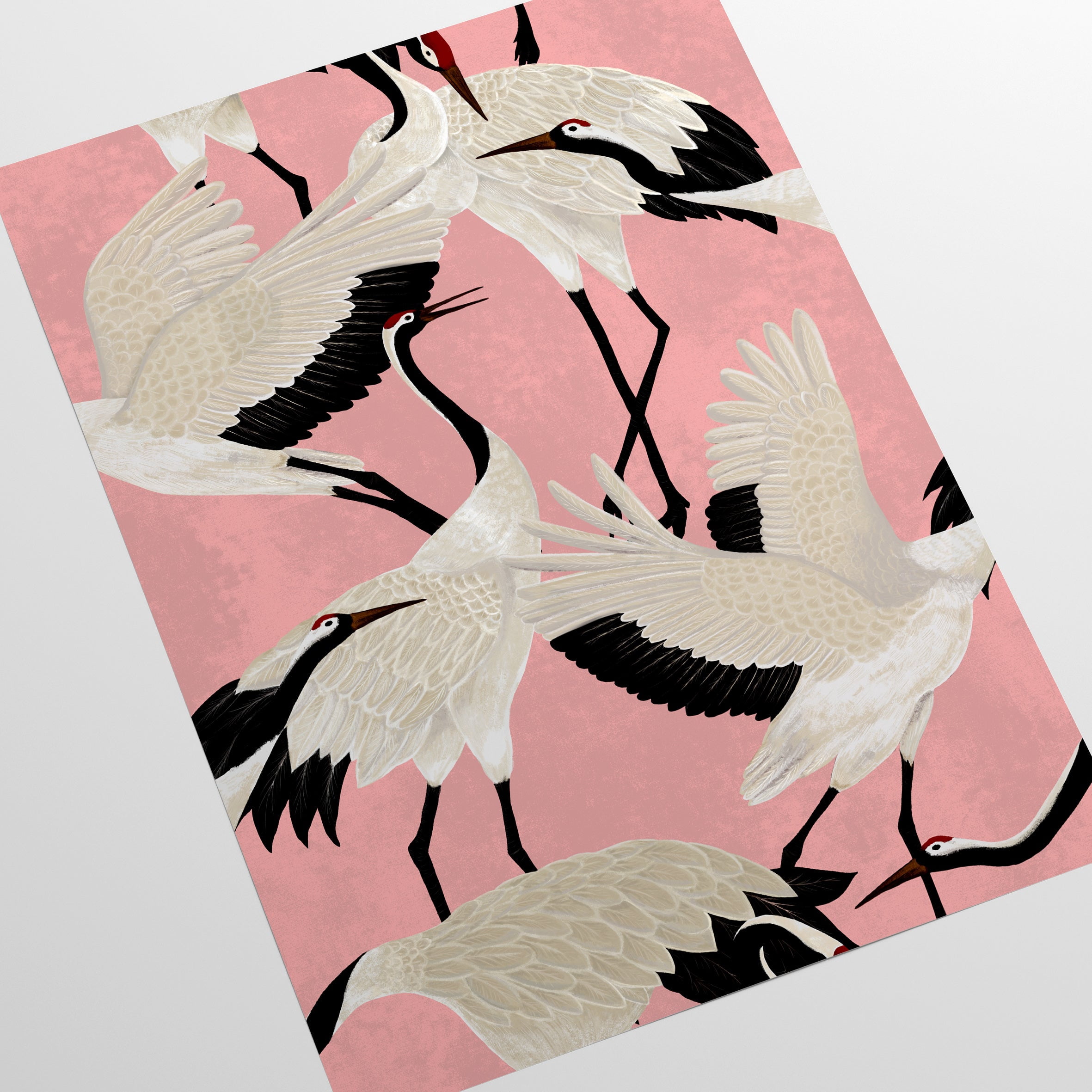 Pink Herons Wallpaper
