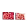 thumbnail image 1 of Set of 2 - Pink Rose II - Contemporary Fine Art Giclee on Canvas Gallery Wrap - wall décor - Art painting - 24 x 16 Inch - Ready to Hang, 1 of 2