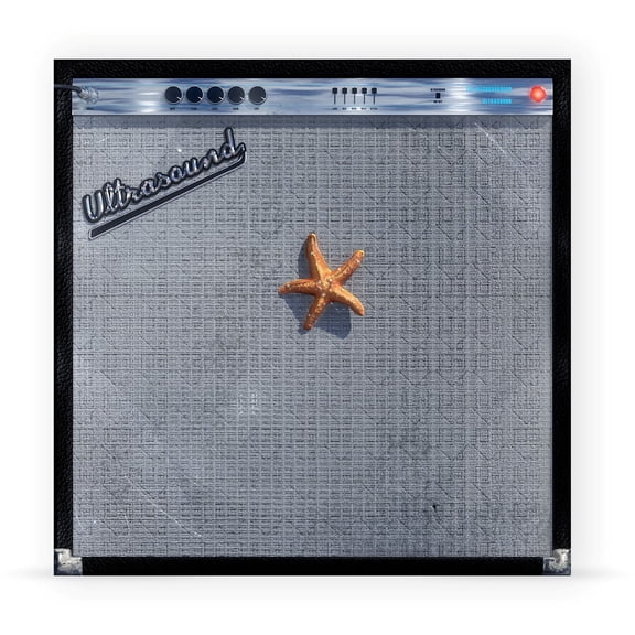 The Neighbourhood - (((((Ultrasound))))) - Music & Performance - Vinyl