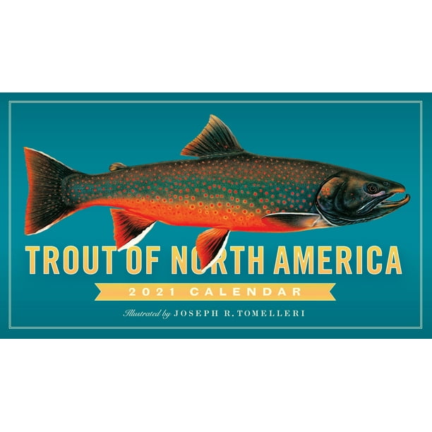 Trout of North America Wall Calendar 2021 (Other)