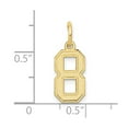 thumbnail image 2 of FJC Finejewelers 10 kt Yellow Gold Small Satin Number 8 Charm 18 x 7 mm, 2 of 6