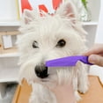 Nlsdqey Bathing Brushes Flea Comb For Dogs And Cats Pet Lice Comb And