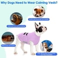 thumbnail image 5 of Dog Anxiety Relief Coat,Comfort Anxiety Vest for Dogs,Adjustable Dog Anxiety Calming Wrap for Fireworks,Thunderstorm,Travel,Separation,Anxiety Jacket for Small Dogs, 5 of 8
