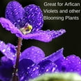 thumbnail image 2 of Houseplant Hero African Violet & Blooming Plant Food - 8-10-8 House Plant Fertilizer 8 Ounces, 2 of 2