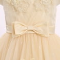 thumbnail image 5 of IBTOM CASTLE Toddler Little Flower Girls Princess Tulle Dress Sleeveless Floral Embroidery Tutu 3D Butterfly Back Bowknot For Wedding Birthday Party Evening Formal 2-3T Champagne, 5 of 7