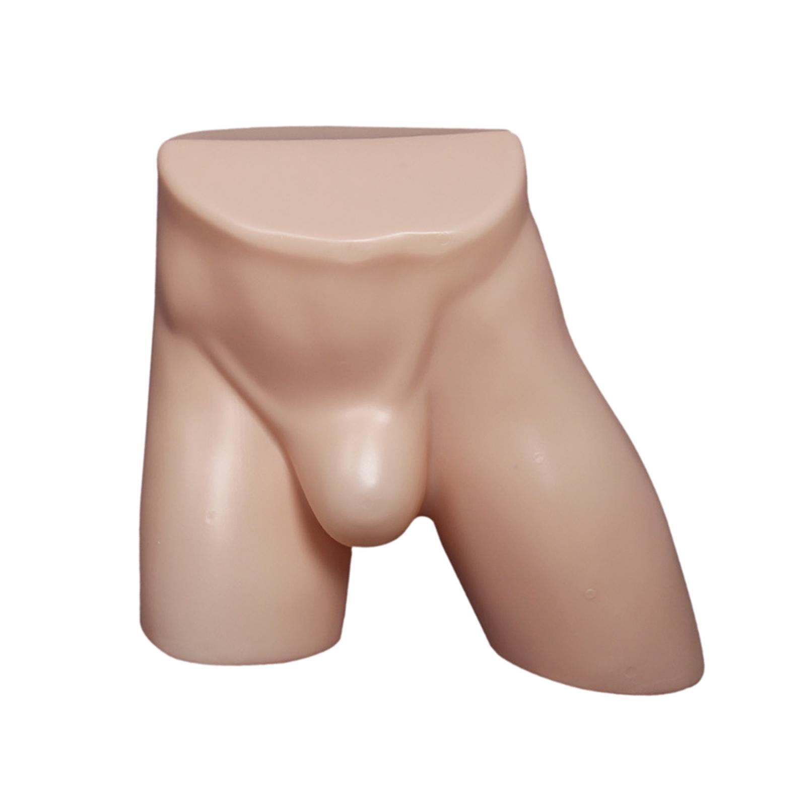 Dualoai Male Underpants Stand Male Mannequin Hip Underpants Showcase Support Mans Briefs Skin