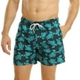 thumbnail image 3 of RIPT Essentials Mens Turtle Swim Shorts, 3 of 4