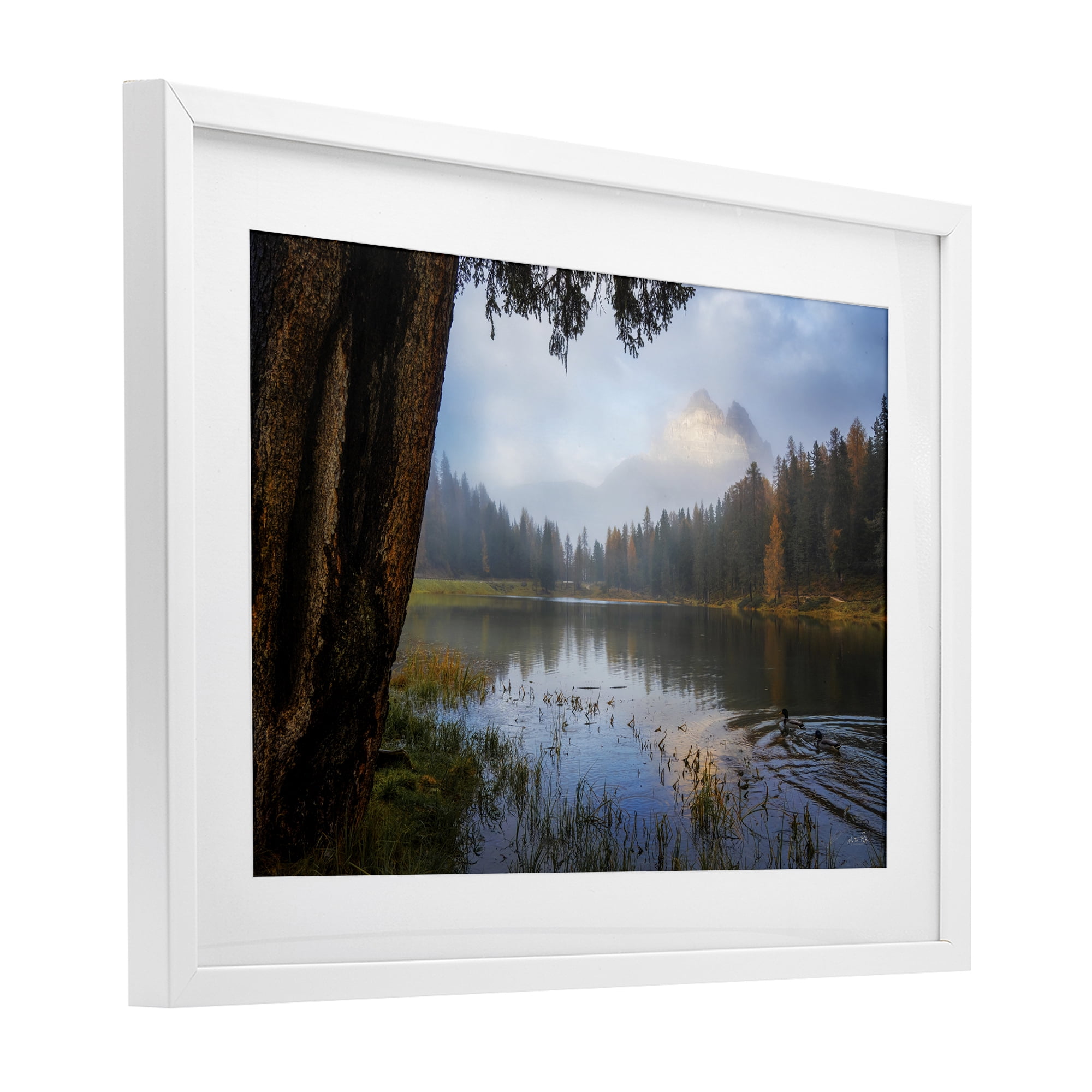 Stupell Industries Autumn Forest Reflections White Framed Print Under Glass, design by Martin Podt