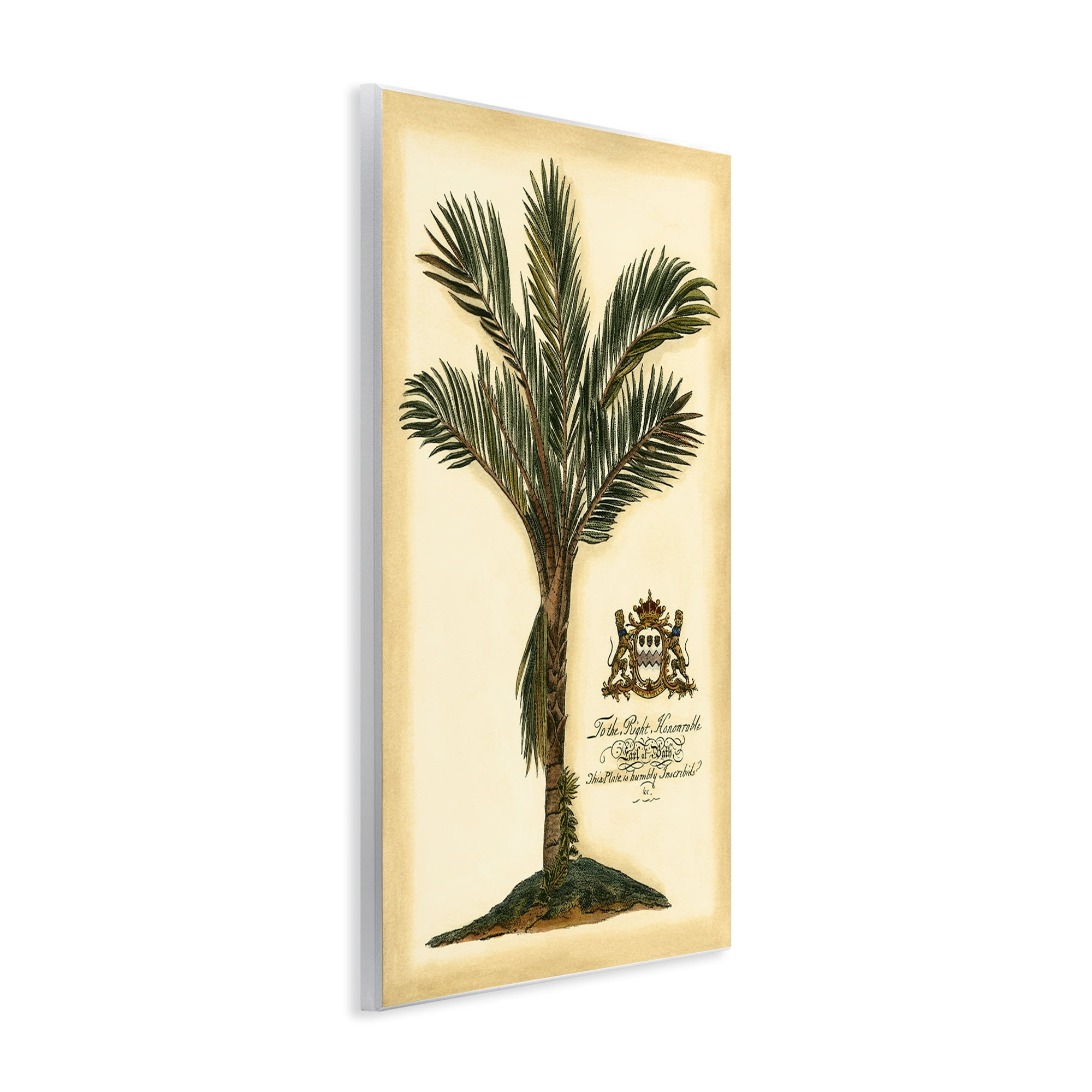 Stupell Industries Vintage Colonial Palm Wall Plaque Art, design by Vision Studio
