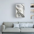 thumbnail image 3 of Andrea Haase 'Abstract Ink Fantasy II' Canvas Art, 3 of 4