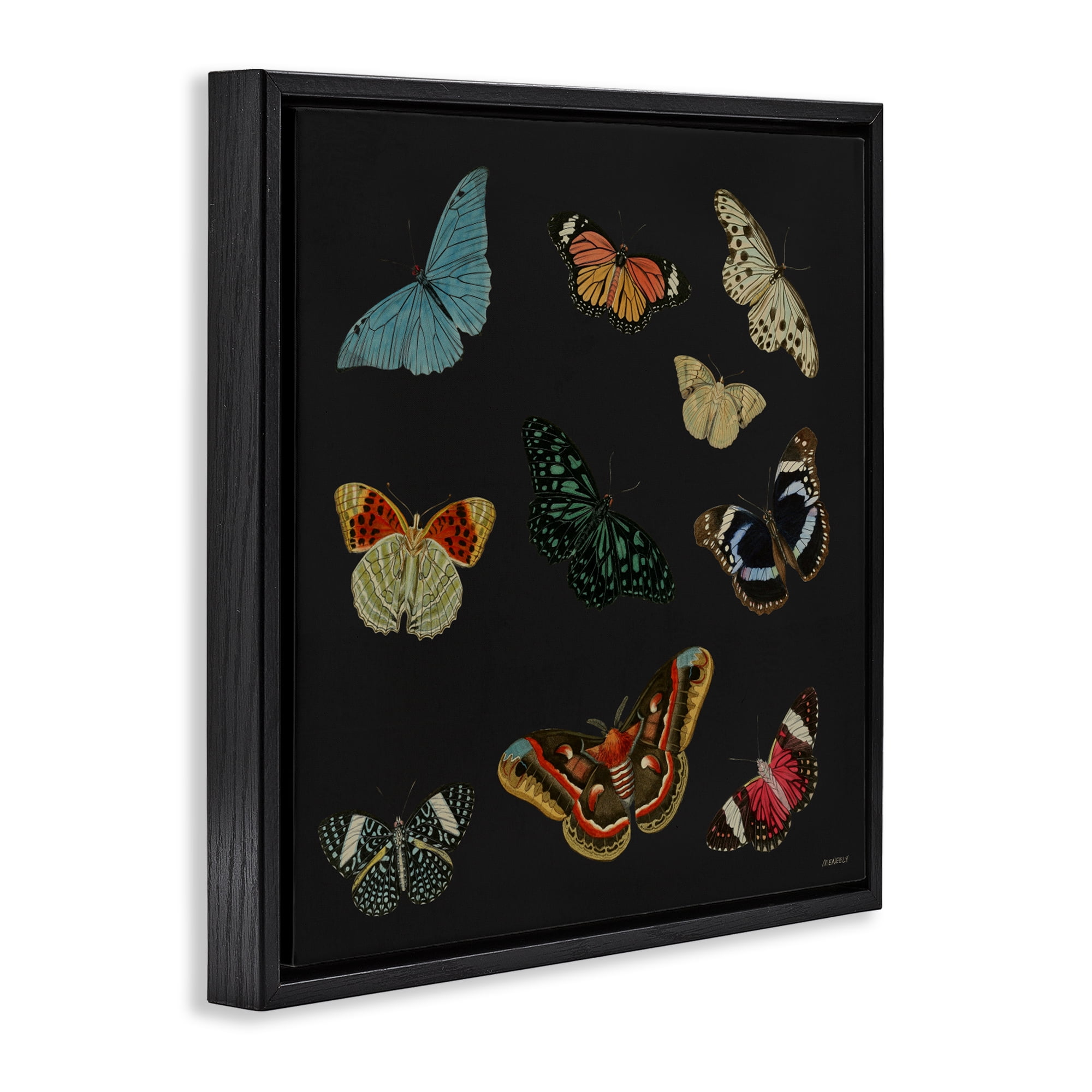 Stupell Industries Insects Group on Black Black Framed Floater Canvas Wall Art, design by Dan Meneely