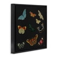 thumbnail image 2 of Stupell Industries Eclectic Insects Group on Black Black Floating Frame Canvas Art, 18 x 18, by Dan Meneely, 2 of 8