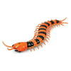 Qiyun Joe Creative Funny Infrared Remote Control USB RC Centipede Scolopendra Creepy Crawly Toy Stress Relief Vent Tricky Toys Gag Gift