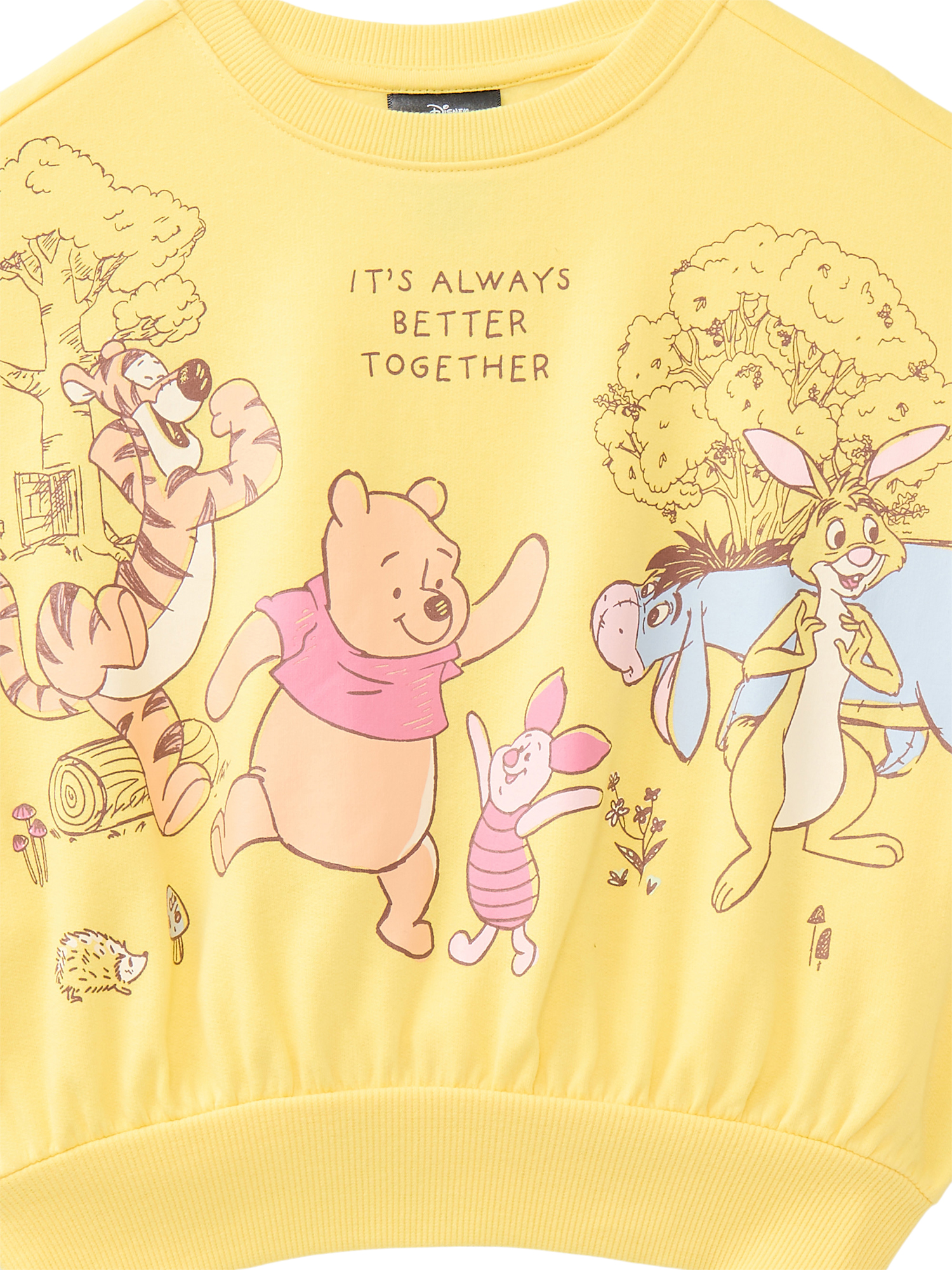 Disney's Winnie the Pooh and Friends Girls Graphic Fleece Crew Pullover, Sizes 4-16