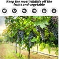 thumbnail image 5 of Bird Netting, Garden Netting Plant Cover Netting,Anti Bird Netting Poultry Netting for Protecting Vegetables, Fruits and Plants, 5 of 7
