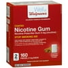Coated Nicotine Gum 2 mg Cinnamon