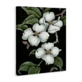 thumbnail image 3 of Stupell Industries Vintage Dogwood Trio Canvas Wall Art design by Paul Brent, 40 x 30, 3 of 7