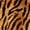 Orange Dark Brown 02, variant on Manfei Minimalist Cheetah Print Shower Curtain 72Wx72L, Old Fashion Patchwork Bathroom Curtain, Tan Peach