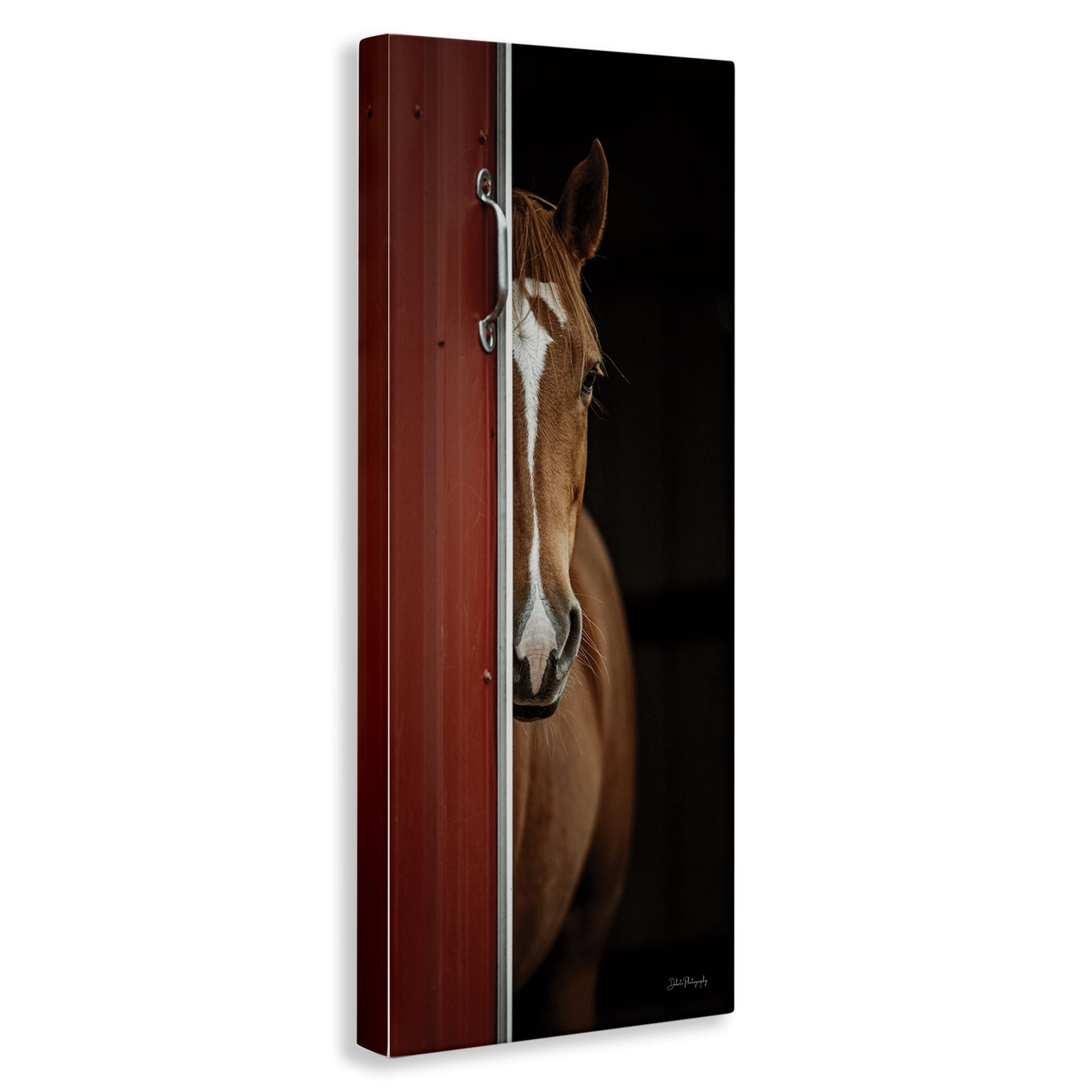 Stupell Industries Brown Stallion Peeking Animals & Insects Photography Gallery Wrapped Canvas Art Print Wall Art, 10 x 24