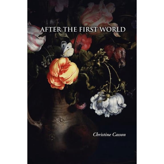 After the First World (Paperback)