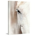 thumbnail image 7 of Gentle Eye Painting Print on Wrapped Canvas, 7 of 7