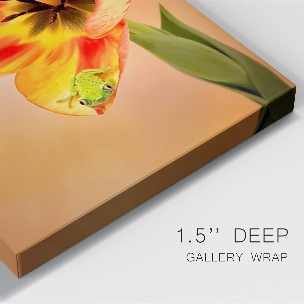 Hanging On VI Premium Gallery Wrapped Canvas - Ready to Hang
