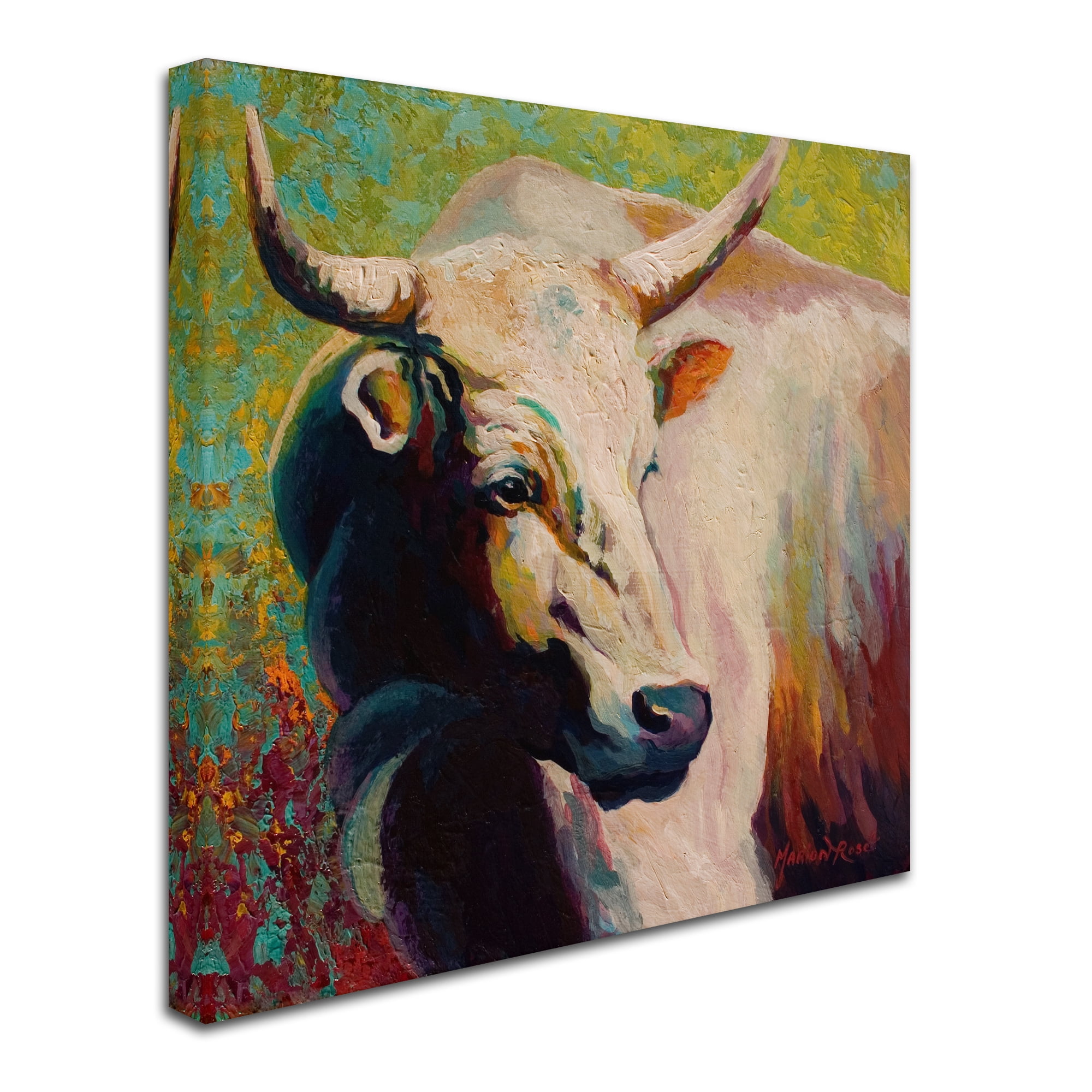 Trademark Fine Art 'White Bull Portrait' Canvas Art by Marion Rose