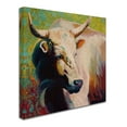 thumbnail image 2 of Trademark Fine Art 'White Bull Portrait' Canvas Art by Marion Rose, 2 of 3