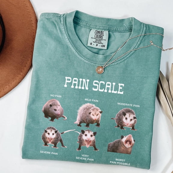 Funny Nurse Pain Scale Opossum T-Shirt | Oversized Soft Tee Gift for Healthcare Pros