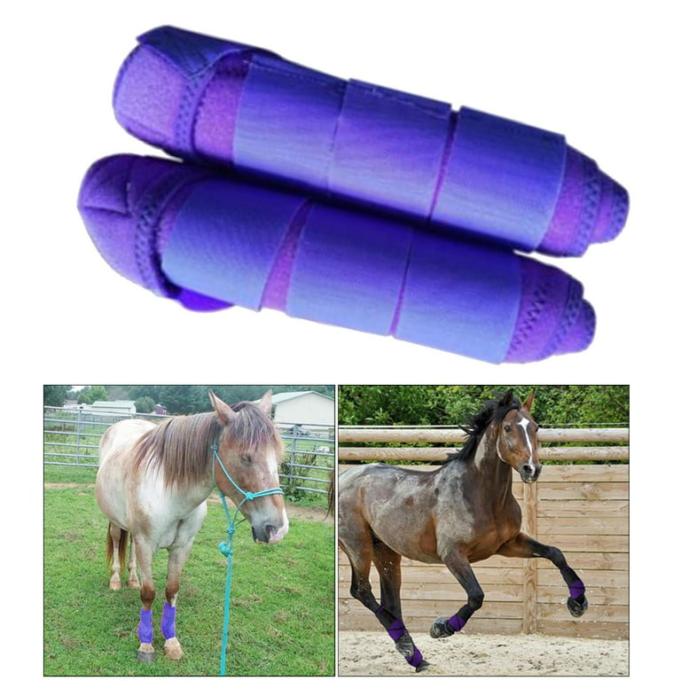  HefddEHY Horse Boots - Protective & Breathable Design, Strong  for Ultimate Comfort - Horse Sport Boots, Fly Boots & Splint Boots for  Horses (S) : Pet Supplies