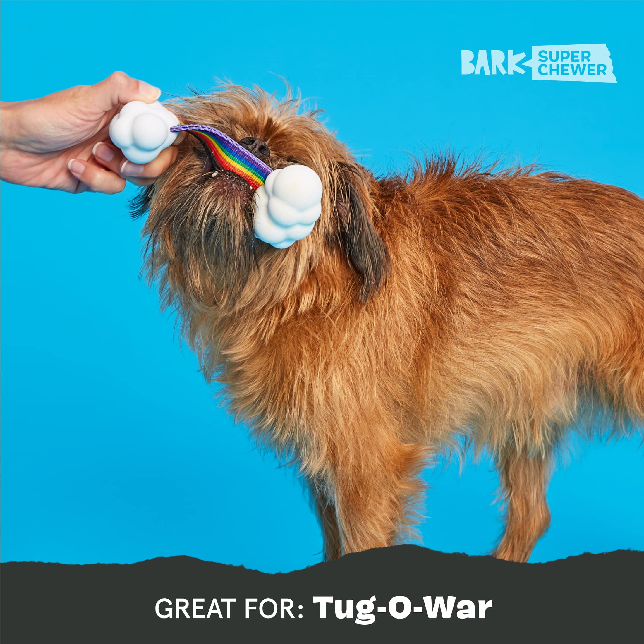 BARK Super Chewer Rainbow Tug Durable Small Dog Toy