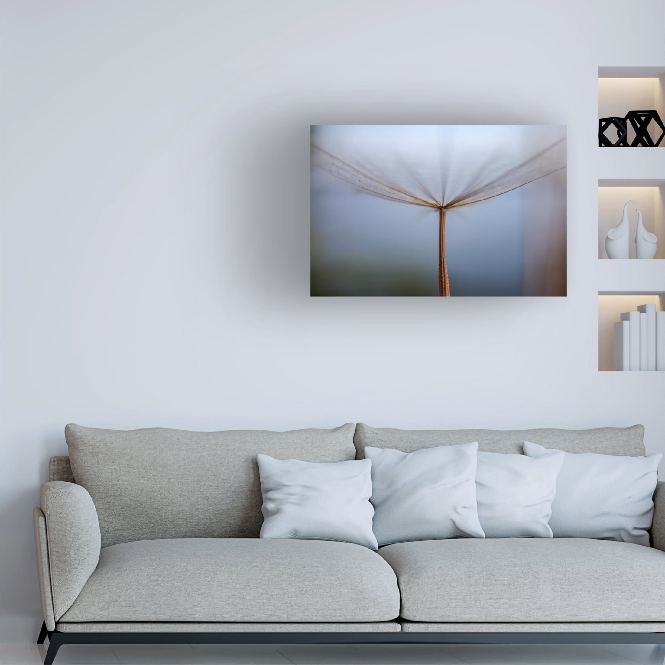 Trademark Fine Art Hassan Dehdaran Jabry Dandelion Canvas Wall Art