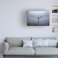 thumbnail image 4 of Trademark Fine Art Hassan Dehdaran Jabry Dandelion Canvas Wall Art, 4 of 4