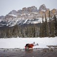 thumbnail image 3 of LifeStraw Personal Water Filter for Hiking, Camping, Travel, 3 of 5