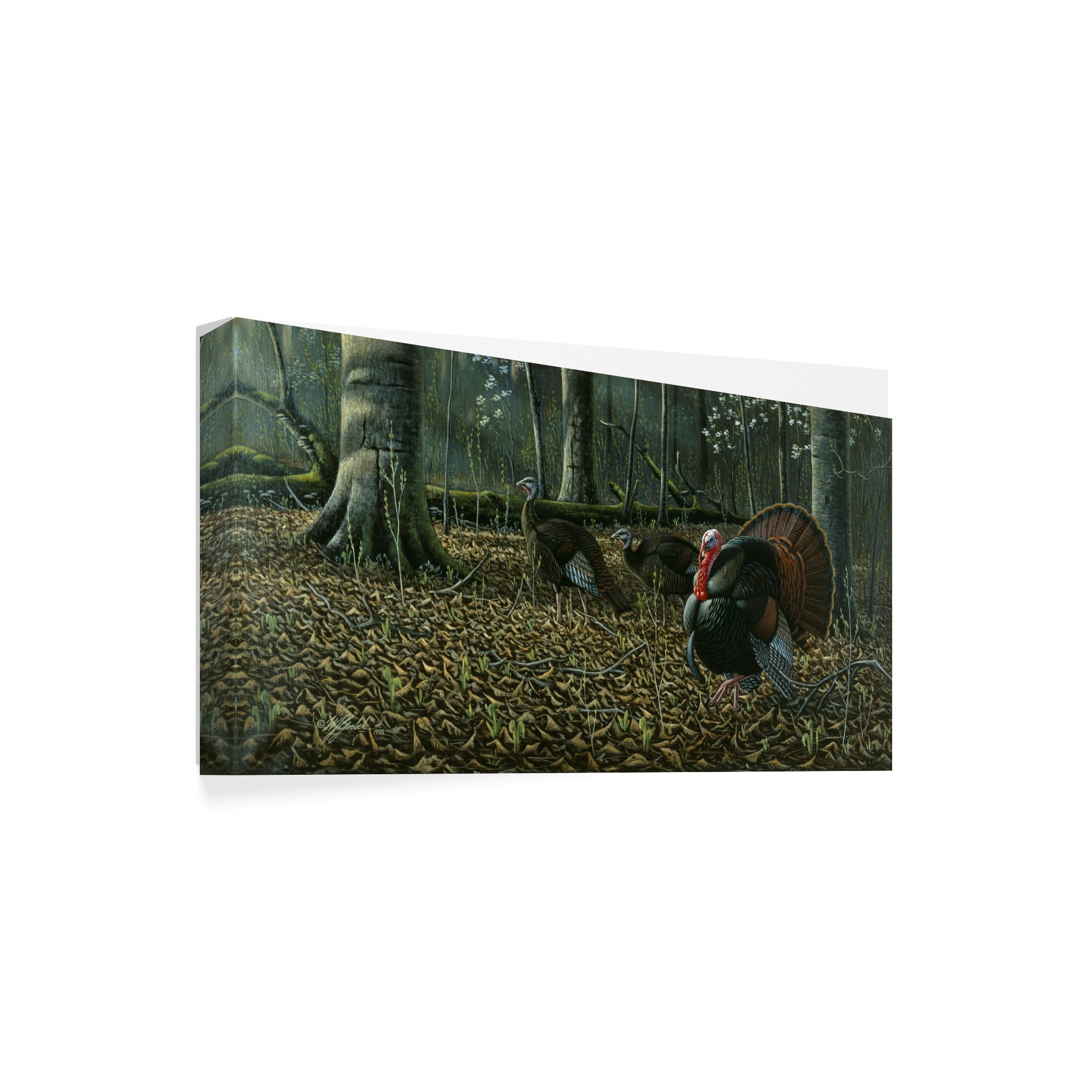 Trademark Fine Art 'The Suitor Wild Turkeys' Canvas Art by Wilhelm Goebel