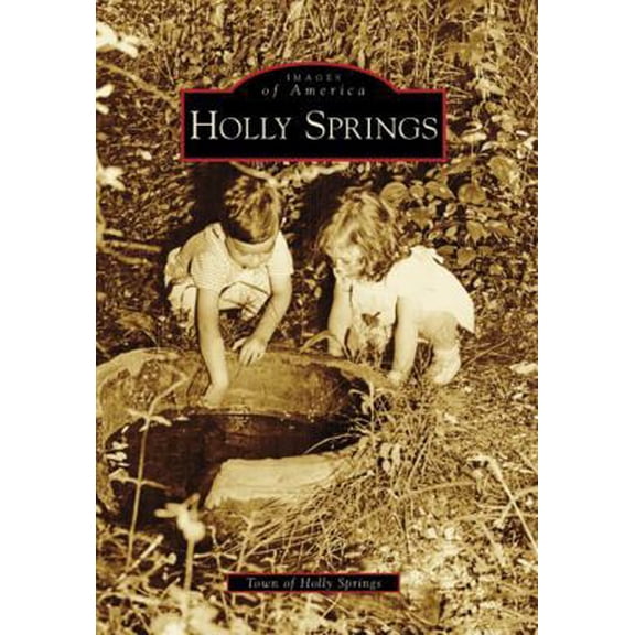 Pre-Owned Holly Springs (Paperback) 0738554413 9780738554419