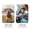 thumbnail image 3 of UPOUART Dog Ground Stakes for Securing Dogs in Outdoor Areas with 4 Fixing Pegs, 3 of 8