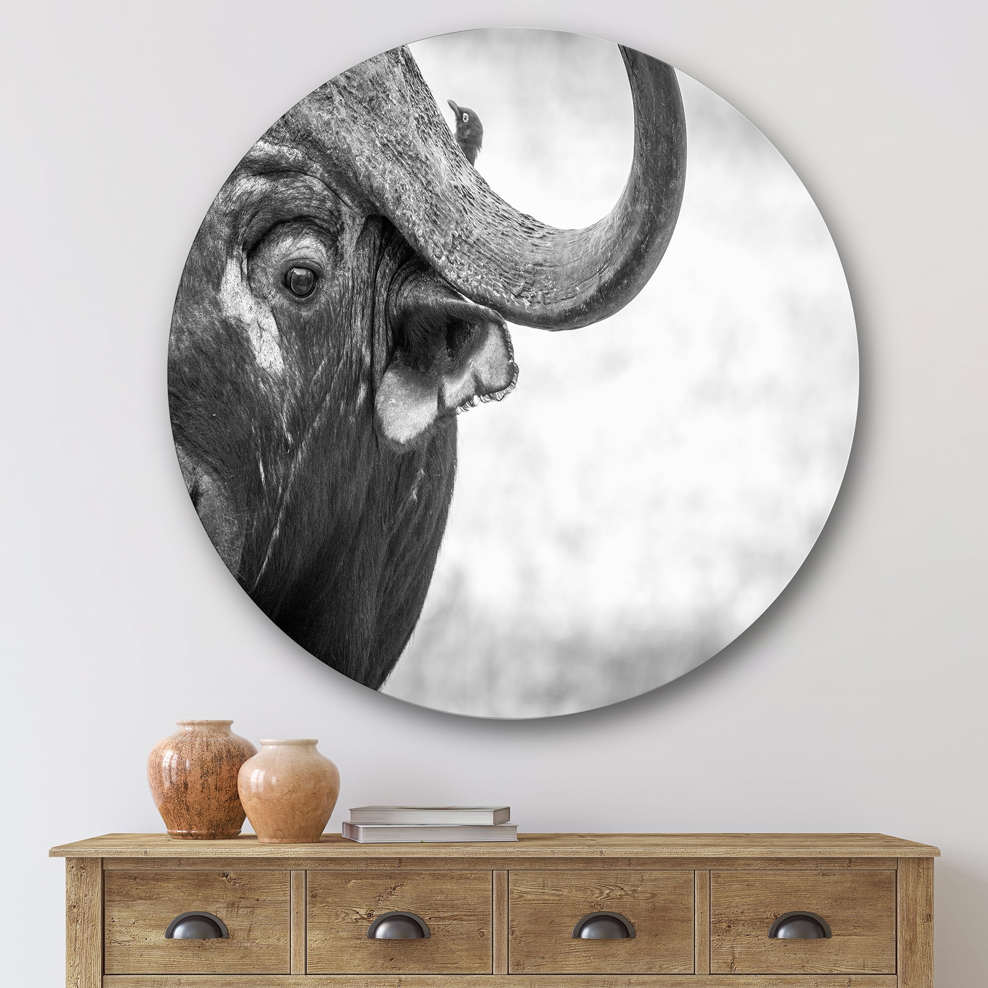 Designart 'Black and White Portrait Of Buffalo III' Farmhouse Circle Metal Wall Art 36x36 - Disc of 36