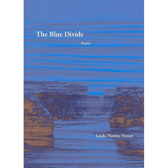 The Blue Divide : Poems (Paperback)