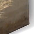 thumbnail image 3 of Epic Art ' Elegance' by Tony Stromberg, Acrylic Glass Wall Art, 16"x12", 3 of 8